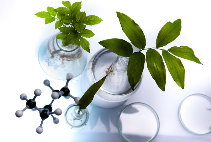 organic-modern-concept